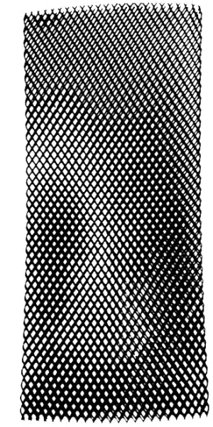 Beaver Cylinder Mesh